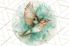 Watercolor Songbirds in Flight PNG Clipart Product Image 3