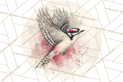 Watercolor Songbirds in Flight PNG Clipart Product Image 5
