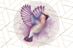 Watercolor Songbirds in Flight PNG Clipart Product Image 3