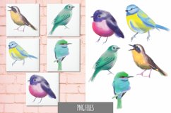 Watercolor of Bird Breeds Sublimation Product Image 1