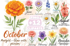 Watercolor Birth Month Flowers Clipart | 12 Floral PNG Product Image 1