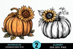 Watercolor Black And Gold Floral Pumpkins Clipart Product Image 1