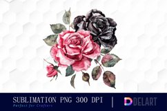 Black and Pink Roses Watercolor Clipart Product Image 1