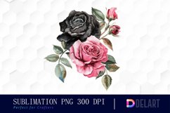 Black and Pink Roses Watercolor Clipart Product Image 1