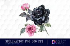 Black and Pink Roses Watercolor Clipart Product Image 1