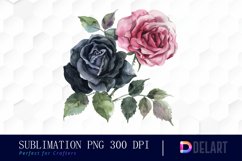 Black and Pink Roses Watercolor Clipart Product Image 1
