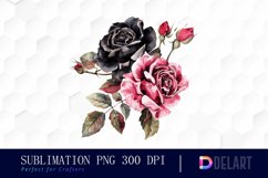 Black and Pink Roses Watercolor Clipart Product Image 1