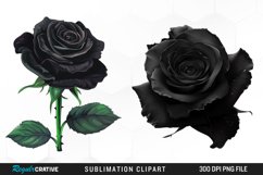 Watercolor Black Rose PNG Clipart Product Image 1