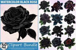 Watercolor Black Rose Flowers Clipart Bundle Product Image 1