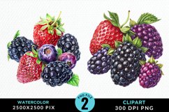 Watercolor Blackberries Clipart Bundle Product Image 4