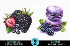 Watercolor Blackberries Exquisite Clipart Product Image 1