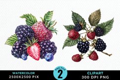 Watercolor Blackberries Exquisite Clipart Product Image 1