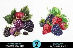 Watercolor Blackberries Clipart Bundle Product Image 3