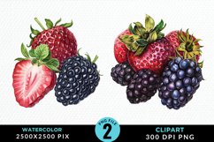 Watercolor Blackberries Clipart Bundle Product Image 2