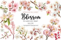 Watercolor Blossom Clipart Bundle