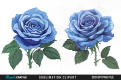 Watercolor Blue Roses PNG Set Clipart Product Image 1