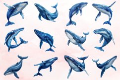 Watercolor Blue Whale Clipart Bundle Product Image 2