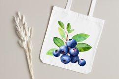Fresh Blueberries Watercolor Sublimation Clipart Product Image 8