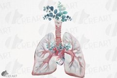 Eucalyptus and anatomical blush lungs with heart graphic Product Image 1