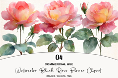 Watercolor Blush Rose Flower Clipart Product Image 1