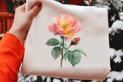 Watercolor Blush Rose Flower Clipart Product Image 2
