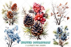 Watercolor Botanicals Clipart,Winter Sublimation Bundle,winter flowers clipart,winter flowers png,Winter Botanicals,winter flowers watercolor,Winter Floral Prints,vintage flower clipart,winter floral clipart,Botanical Graphics