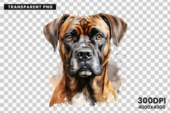 Watercolor Boxer Dog Clipart, Boxer Dog PNG Digital Download, Pet Portrait Sublimation Design, Dog Lover Clipart for Crafts, Boxer Dog Wall Art Printable, Hand Painted Dog Clipart PNG, Watercolor Dog Sublimation PNG, Cute Pet Portrait Digital Art, Boxer D