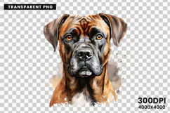 Watercolor Boxer Dog Clipart, Boxer Dog PNG Digital Download, Pet Portrait Sublimation Design, Dog Lover Clipart for Crafts, Boxer Dog Wall Art Printable, Hand Painted Dog Clipart PNG, Watercolor Dog Sublimation PNG, Cute Pet Portrait Digital Art, Boxer D