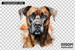 Watercolor Boxer Dog Clipart, Boxer Dog PNG Digital Download, Pet Portrait Sublimation Design, Dog Lover Clipart for Crafts, Boxer Dog Wall Art Printable, Hand Painted Dog Clipart PNG, Watercolor Dog Sublimation PNG, Cute Pet Portrait Digital Art, Boxer D