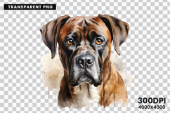 Watercolor Boxer Dog Clipart, Boxer Dog PNG Digital Download, Pet Portrait Sublimation Design, Dog Lover Clipart for Crafts, Boxer Dog Wall Art Printable, Hand Painted Dog Clipart PNG, Watercolor Dog Sublimation PNG, Cute Pet Portrait Digital Art, Boxer D