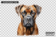 Watercolor Boxer Dog Clipart, Boxer Dog PNG Digital Download, Pet Portrait Sublimation Design, Dog Lover Clipart for Crafts, Boxer Dog Wall Art Printable, Hand Painted Dog Clipart PNG, Watercolor Dog Sublimation PNG, Cute Pet Portrait Digital Art, Boxer D