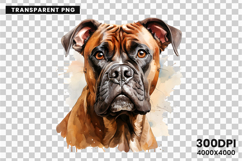 Watercolor Boxer Dog Clipart, Boxer Dog PNG Digital Download, Pet Portrait Sublimation Design, Dog Lover Clipart for Crafts, Boxer Dog Wall Art Printable, Hand Painted Dog Clipart PNG, Watercolor Dog Sublimation PNG, Cute Pet Portrait Digital Art, Boxer D