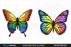 Rainbow Butterfly Artwork Clipart Product Image 1