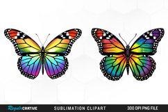 Rainbow Butterfly PNG Set Clipart Product Image 1