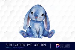 Bunny With Star Sublimation PNG Clipart Product Image 1