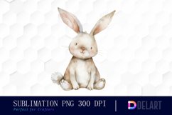 Bunny With Star Sublimation PNG Clipart Product Image 1
