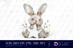 Bunny With Star Illustration Clipart Product Image 1