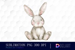 Bunny With Star Sublimation PNG Clipart Product Image 1