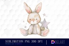 Bunny With Star Graphics Clipart Product Image 1