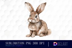 Bunny With Star Illustration Clipart Product Image 1