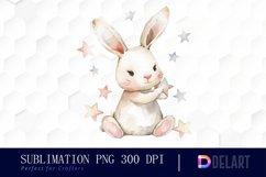 Bunny With Star Illustration Clipart Product Image 1