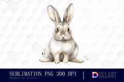 Bunny With Star Illustration Clipart Product Image 1