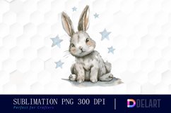Bunny With Star Sublimation PNG Clipart Product Image 1