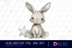 Bunny With Star Illustration Clipart Product Image 1