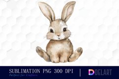 Bunny With Star Sublimation PNG Clipart Product Image 1