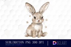 Bunny With Star Graphics Clipart Product Image 1