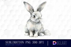 Bunny With Star Sublimation PNG Clipart Product Image 1