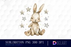 Bunny With Star Graphics Clipart Product Image 1