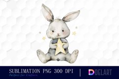 Bunny With Star Graphics Clipart Product Image 1