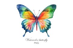 Watercolor butterfly